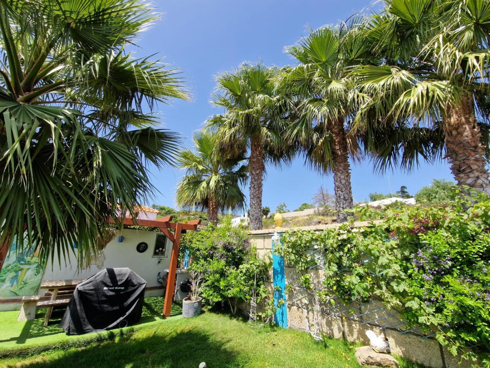 Escape To Finca Conejo, Typical Canarian House Private Jacuzzi, Sauna, Gym, Finca Conejo Taucho By Aqua Vista Tenerife Costa Adeje  Bagian luar foto